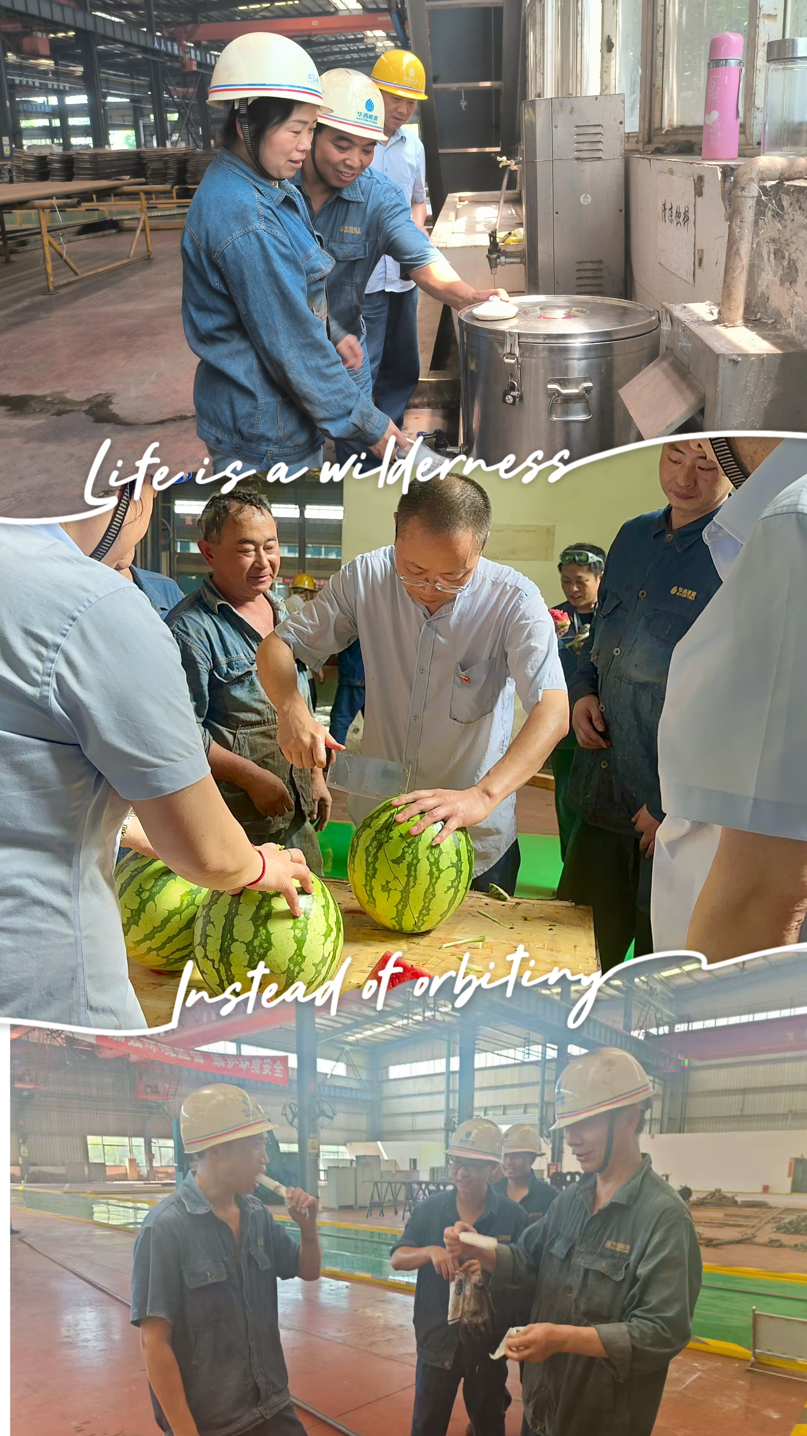 1754287900753572.jpg 1754287900753572.jpg